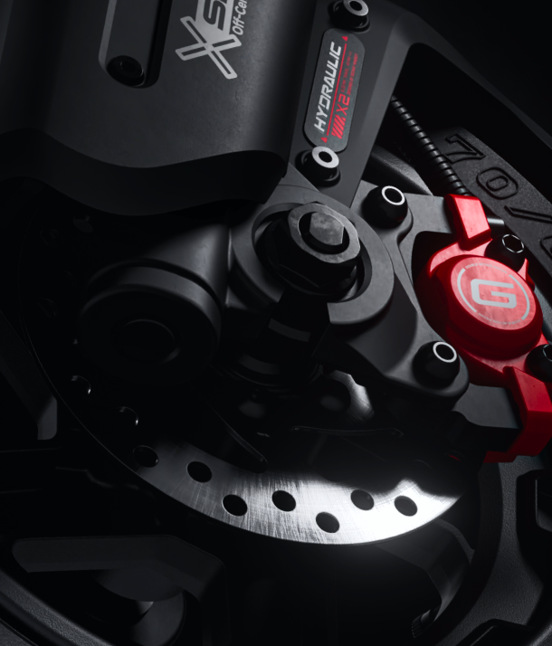 Dual Disc Brakes